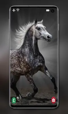 Horse Wallpapers android App screenshot 1