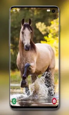 Horse Wallpapers android App screenshot 2