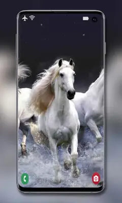 Horse Wallpapers android App screenshot 3