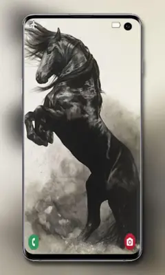 Horse Wallpapers android App screenshot 4