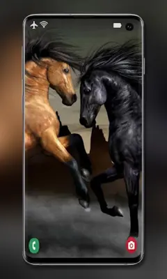 Horse Wallpapers android App screenshot 6